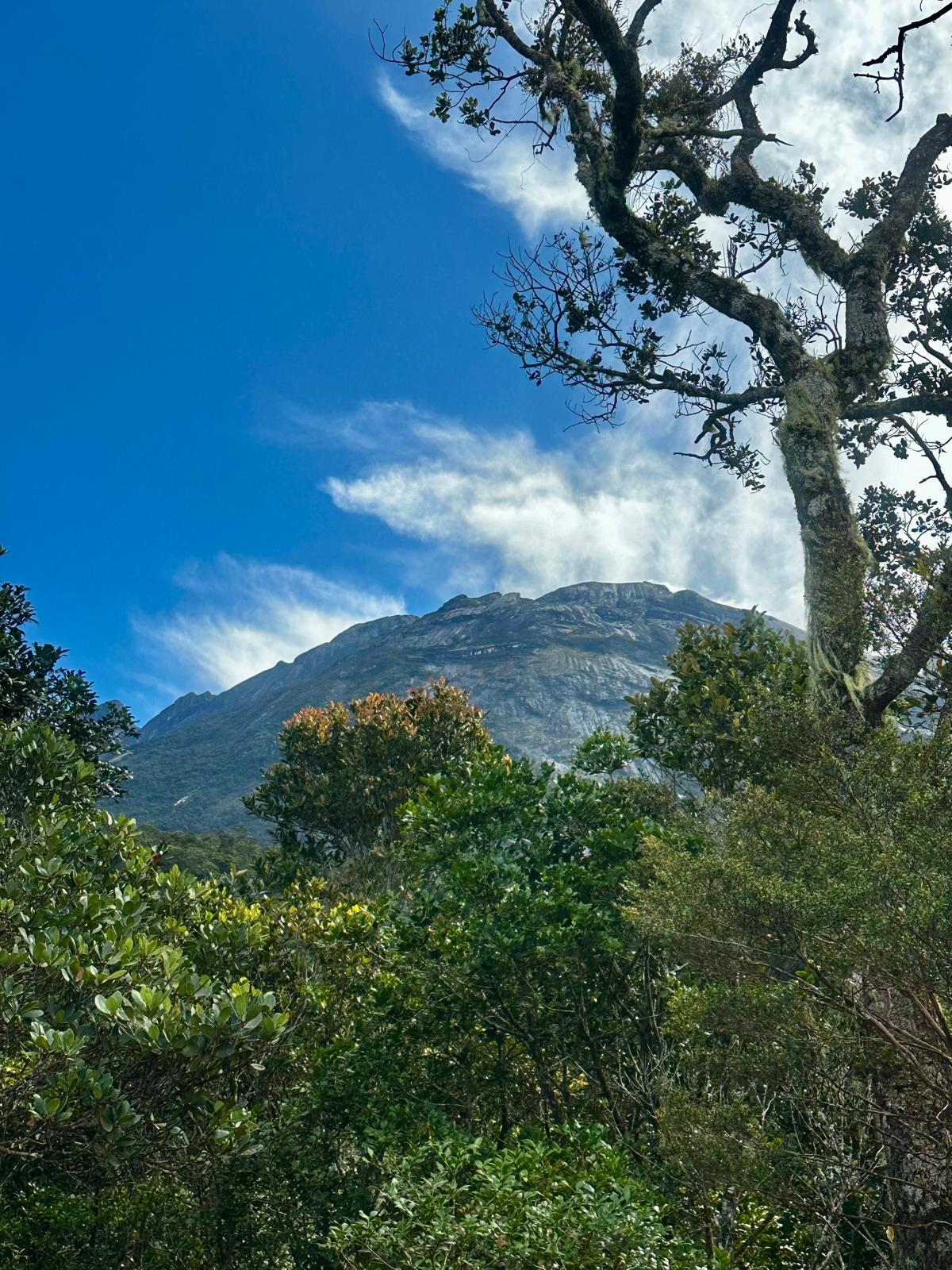 10 Things to Do in Sabah: A Complete Travel Guide to Kota Kinabalu & Kundasang